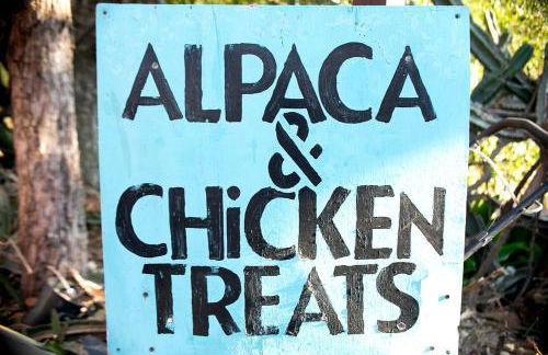 Pet Friendly Charming Cottage with Incredible Views and Hot-tub in Rainbow, California - Foto 22