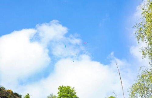 Little Hollows Glamping - Foto 73