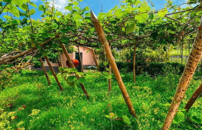 Os Ferreirinhos, a Home in Madeira - Foto 96