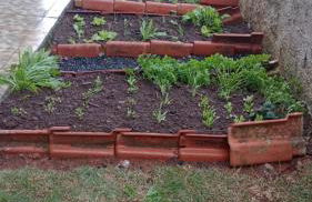 Biju's Little Farm - Foto 30