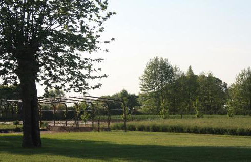 Il Gesuita - Foto 26