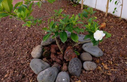 A Casa Do Terraco - Photo 24