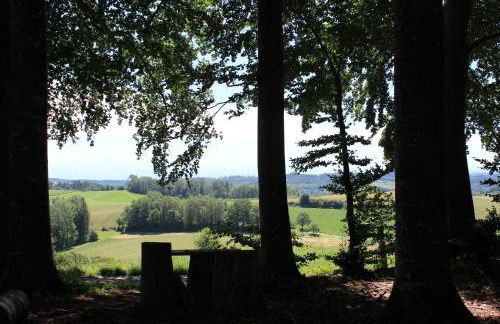 Ferienwohnung Zum Hohlenstein - Photo 14