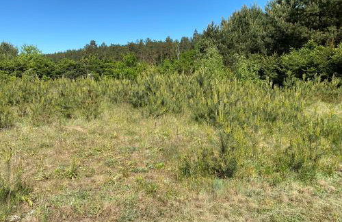 Sosenkowe Zacisze - Foto 13