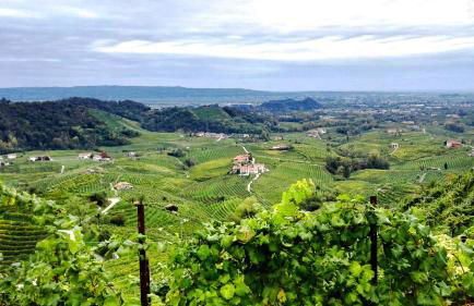 Casa del Piol Fattoria dei fiori - Photo 39