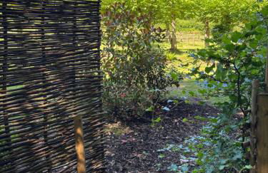 Shepherd’s delight - Foto 3