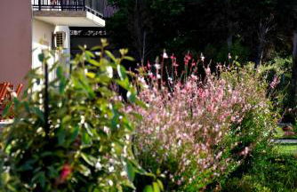 Salt and petals Downstairs - Foto 27