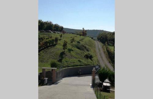 Casa Vacanze LILIANA - Foto 6