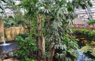 le gîte le CAMÉLIA - Foto 23