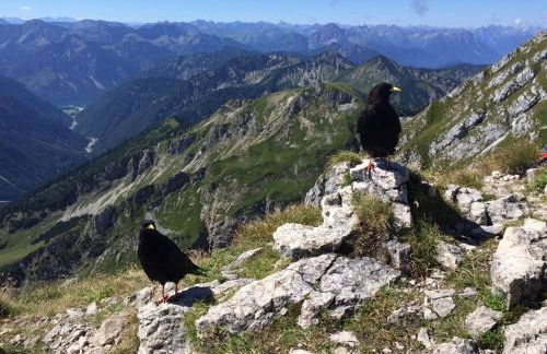 Holiday apartment with 2 bedrooms - Foto 23