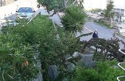 Agapaki Studios - Foto 17