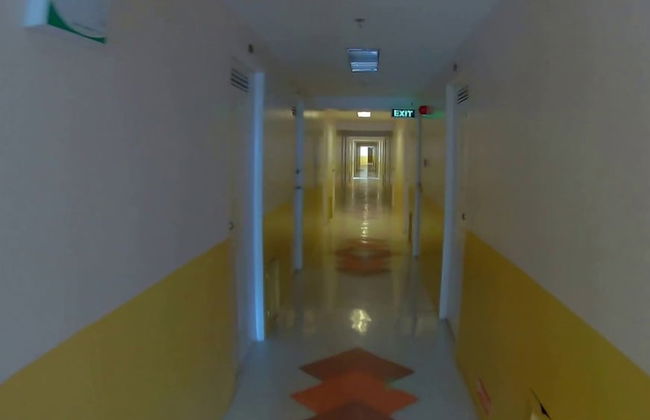 Stellar Collection - Foto 17