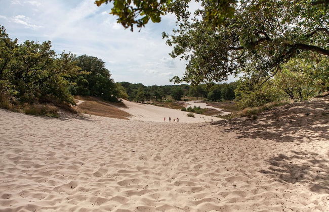 Holiday Home With a Terrace at Bedafse Bergen - Photo 31