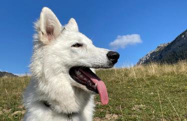 Rifugio Futopia - start here your journey to the discovering of the Alpi Graie - Foto 54