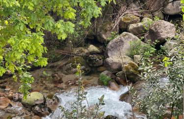 Casa da Lagoa - Foto 21