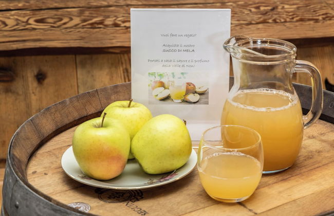 Horse House - Foto 52