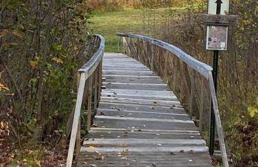 Crosslake Treetop Escape - Foto 7