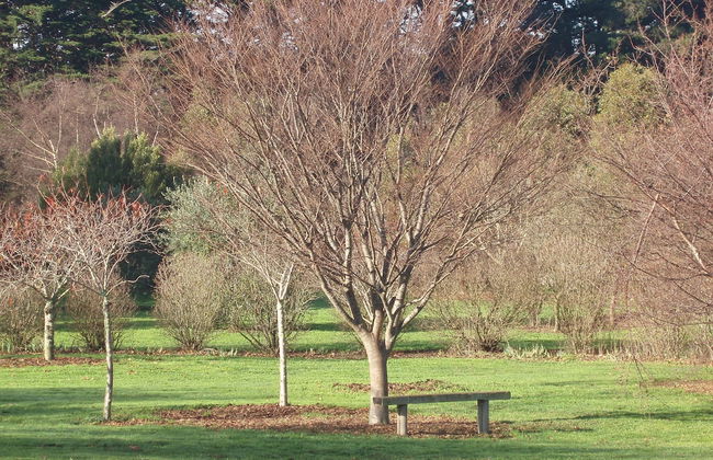 Boat Harbour Garden Cottages - Foto 53