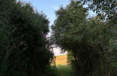 Hübscher Wohnen-Geräumige Ferienwohnung im Gutshaus nahe Saale und Elbe - Foto 6