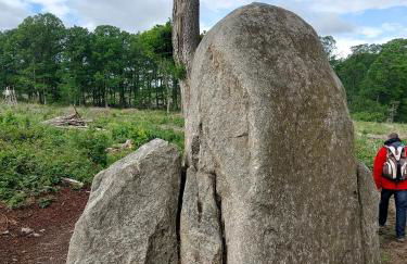 Ferienhaus Greiling - Foto 16