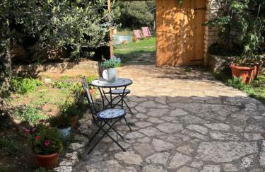 Masiadenjust - Foto 61