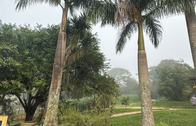 Refúgio dos pinhais - Foto 8