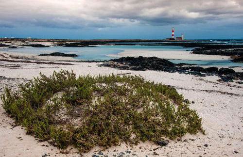 Villa Twins - Foto 33