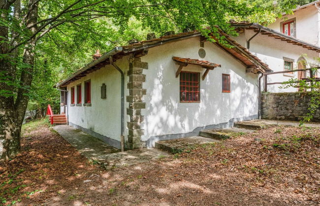 Vintage Vacation Home - Photo 30