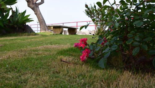 SeaHome - Foto 5, Garden