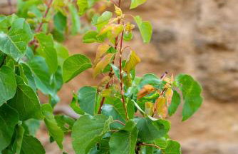 Eklekti House - Foto 29