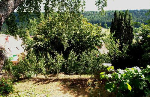 Haus Marta - Photo 63