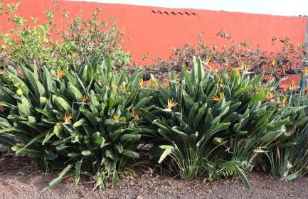 Casa rural Finca Don Amado, San Mateo - Foto 60