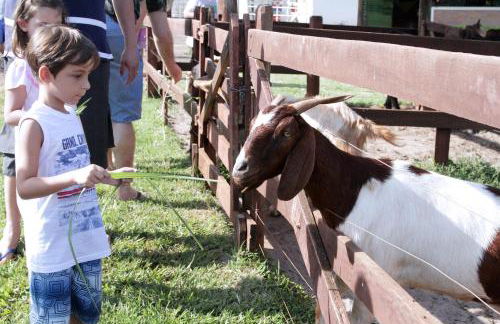 Hotel Fazenda Areia que Canta - Foto 29