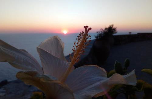 Olympos Archipelagos - Foto 16