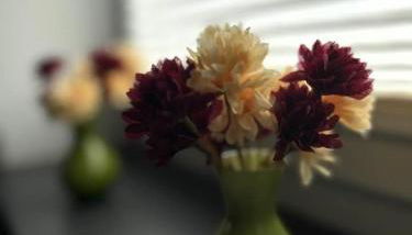 Ferienwohnung Classen Eifel - Foto 3