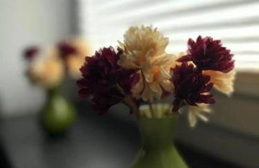 Ferienwohnung Classen Eifel - Foto 3