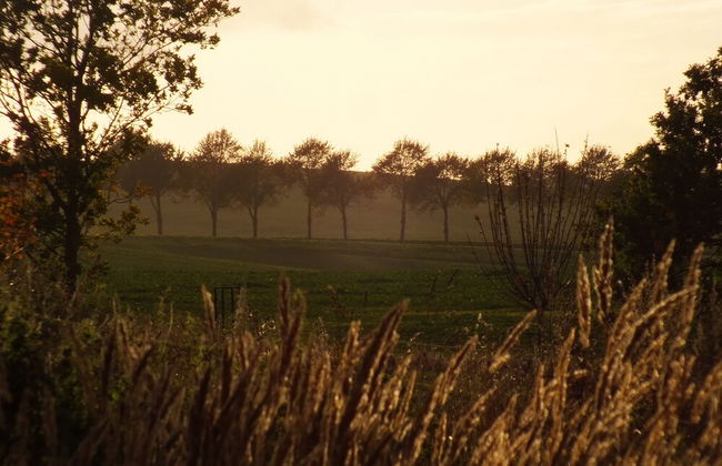 Revier Albatros 2 - WIPPSTEERT - Photo 22