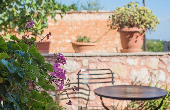 Vamos Fabrica Farm - Foto 53