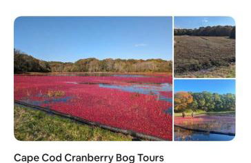 Autumn Escape by the Cape 4 drm home - Photo 6