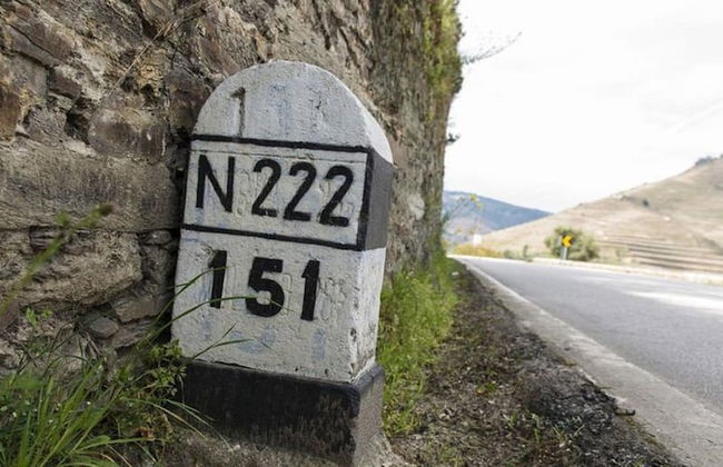 Sobreiros's Villa in Douro Valley - Foto 36