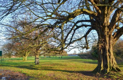 Willow Cottage - Photo 9