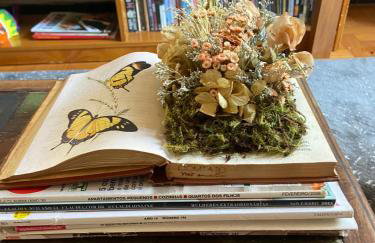 Casa Vintage, tranquilidade no Prado - Foto 21