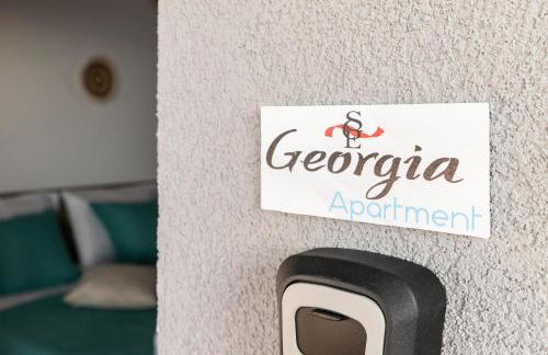 Georgia Apartment - Photo 36