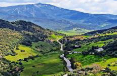 Vientos de Alcornoque - Foto 14