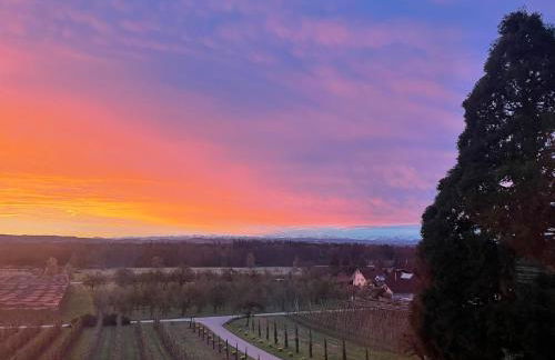 Hofgut Bergchalet Mirabell - Natururlaub am Bodensee - Foto 28