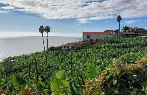 Fajã dos Padres - Foto 21