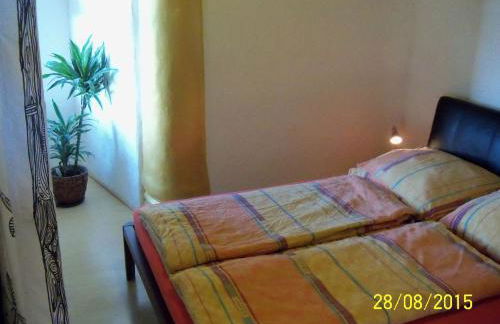 Windmühle an der Nordsee in der Nähe Büsum - Photo 32