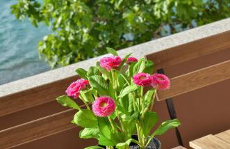 Apartmani Perić 1 Meka Draga - Foto 17