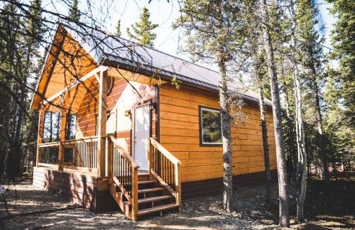 Denali Wild Stay - Redfox Cabin, Free Wifi, private, sleep 6 - Foto 1
