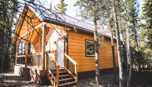 Denali Wild Stay - Redfox Cabin, Free Wifi, private, sleep 6 - Foto 1